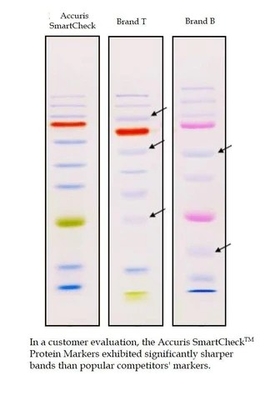 Reagente biochimico diretto dell'indicatore 10-180kDa della proteina di Prestained di colore del carico