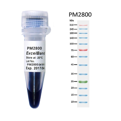 11 colore blu 25-300kDa dell'indicatore 2x250ul 3 della proteina dell'alta gamma delle bande 9-180KDA