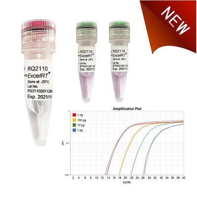 Reagente biochimico nessun verde 1000 di Accuris QMax di reazioni della miscela X 20ul di Rox QPCR
