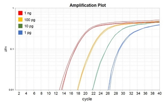 Reagente biochimico nessun verde 1000 di Accuris QMax di reazioni della miscela X 20ul di Rox QPCR