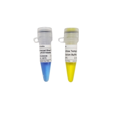2× miscela matrice blu di verde QPCR dell'universale GSK con l'amplificatore giallo di diluizione del modello 40×
