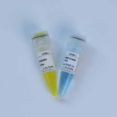 Reagente biochimico di TaqMan della miscela matrice universale della multisala QPCR