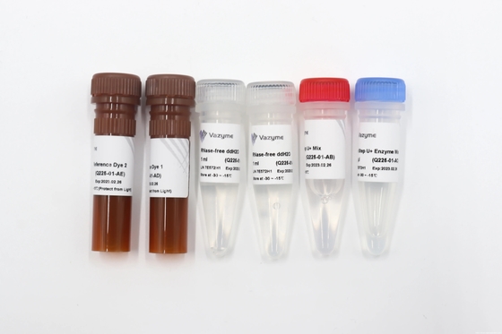 PCR SuperMixes di QRT e di QPCR per la copia multipla e bassa Gene Detection