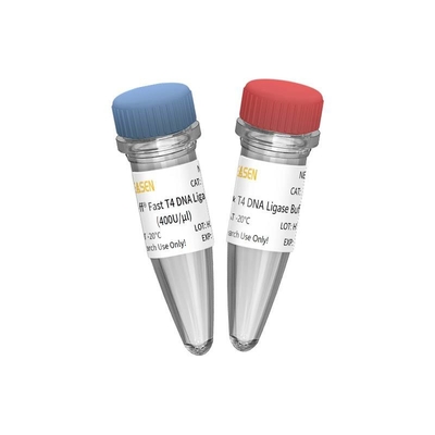Ligasi veloce 400 U/UL del DNA T4 della costruzione della biblioteca di NGS per uso di ricerca SOLTANTO