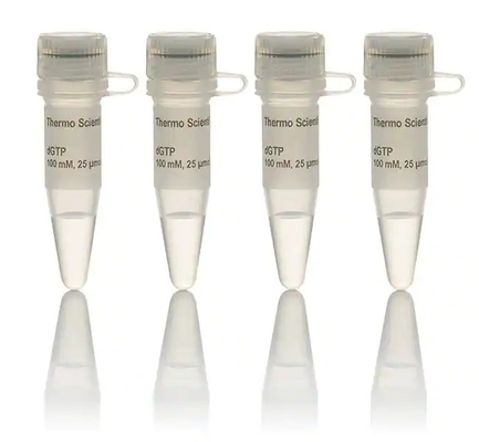 Il reagente biochimico 100 il millimetro DNTP ha messo la soluzione DATP DCTP DTTP DGTP