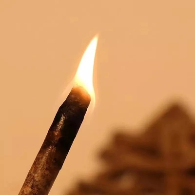 15Kg imballaggio le palline di legno per combustibile solido naturale urgente