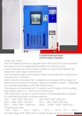 Prova professionale dell'ambiente della scatola di Constant Temperature And Humidity Test