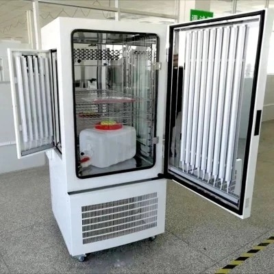 Camera climatica artificiale di temperatura ambiente dell'ospedale e della prova di umidità