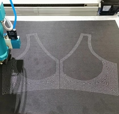 Colata calda ad alta velocità di Jelly Glue Dispensing Machine Silicone della biancheria intima