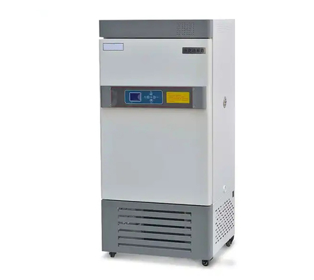 camera di 150L Constant Temperature And Humidity Climate da vendere