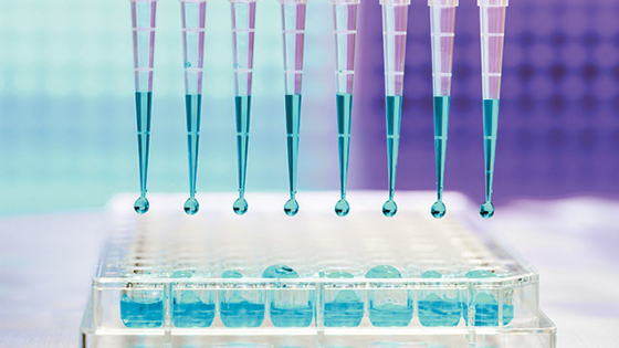 La pipetta sterile libera della RNAsi di 10UL 100UL fornisce di punta il micro universale per il laboratorio